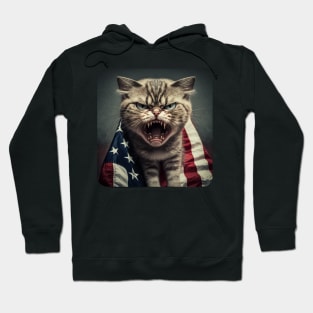 American flag angry cat Hoodie